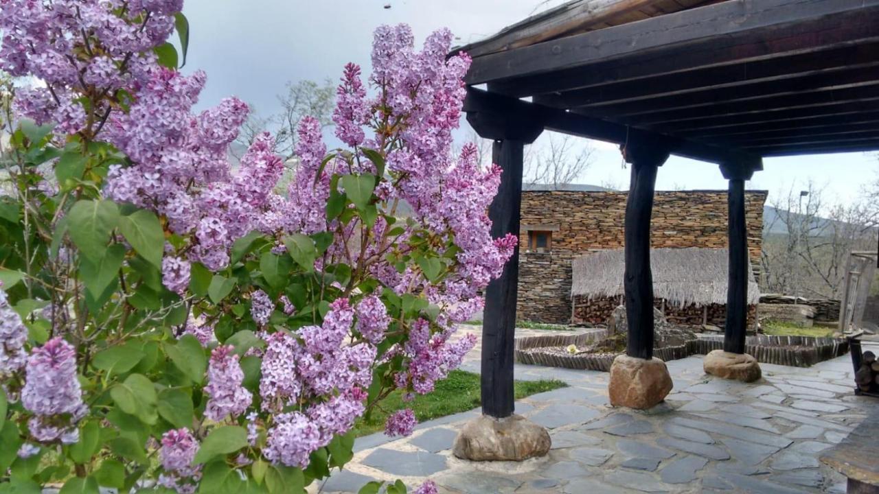 Affittacamere La Era De La Tia Donata Campillo de Ranas Esterno foto